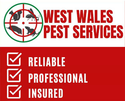 logo base
